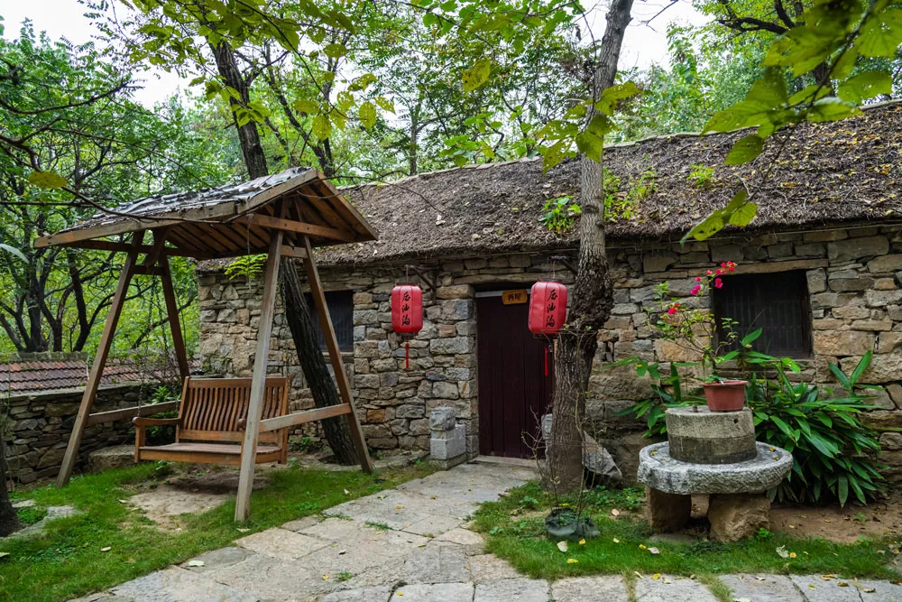 DSC_1807.jpg
