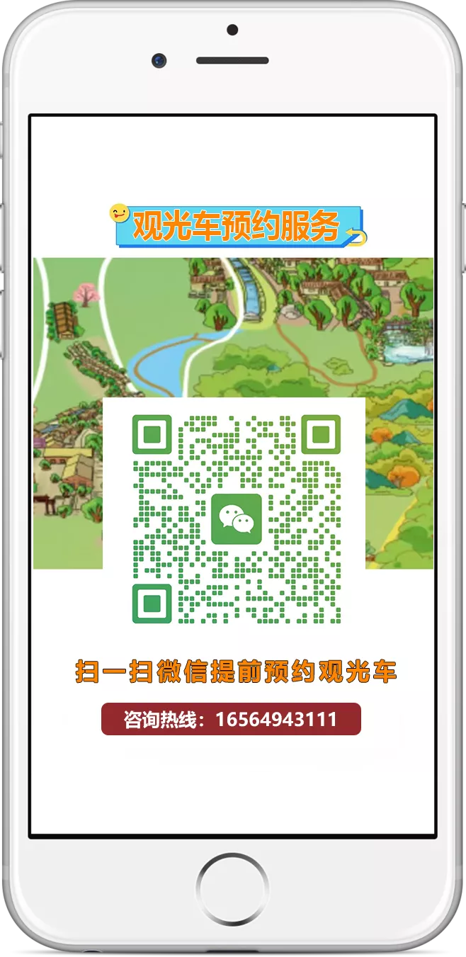 【观光车票购买】